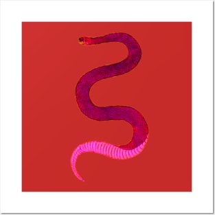 serpent,cobra,reptile,viper,venom,lizard,rattlesnake,king cobra Posters and Art